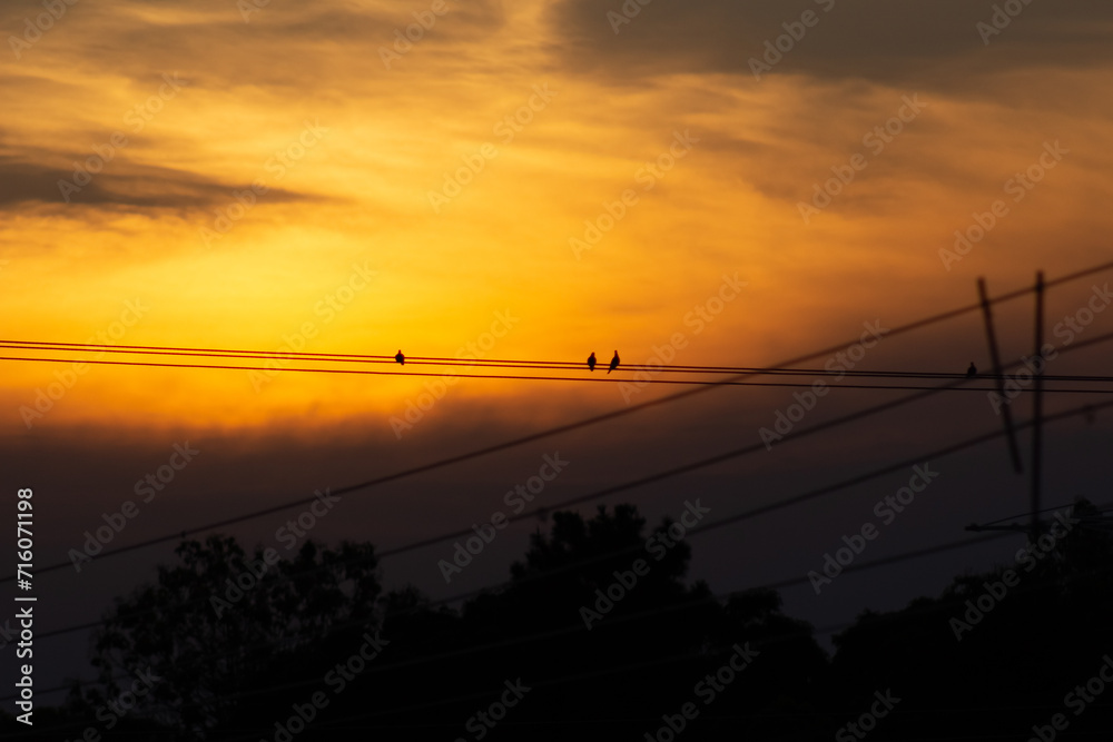 Φωτογραφία Silhouette of a group of birds on a wire against the background of sunset