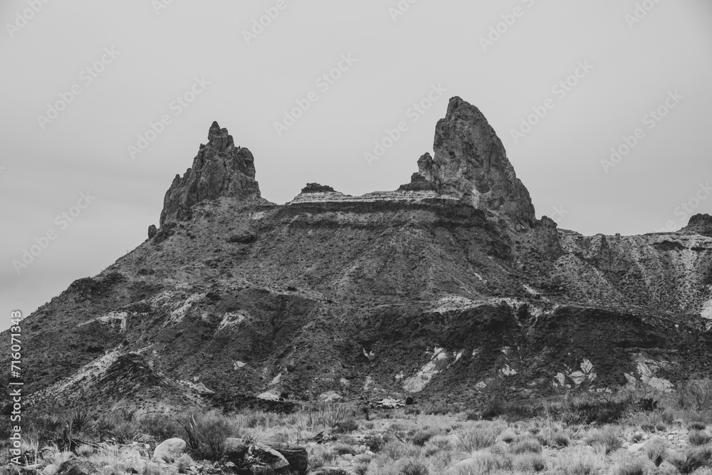 Black And White Of Mule Ears In Big Bend