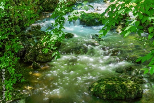木漏れ日浴びて輝く新緑に包まれた渓流の情景