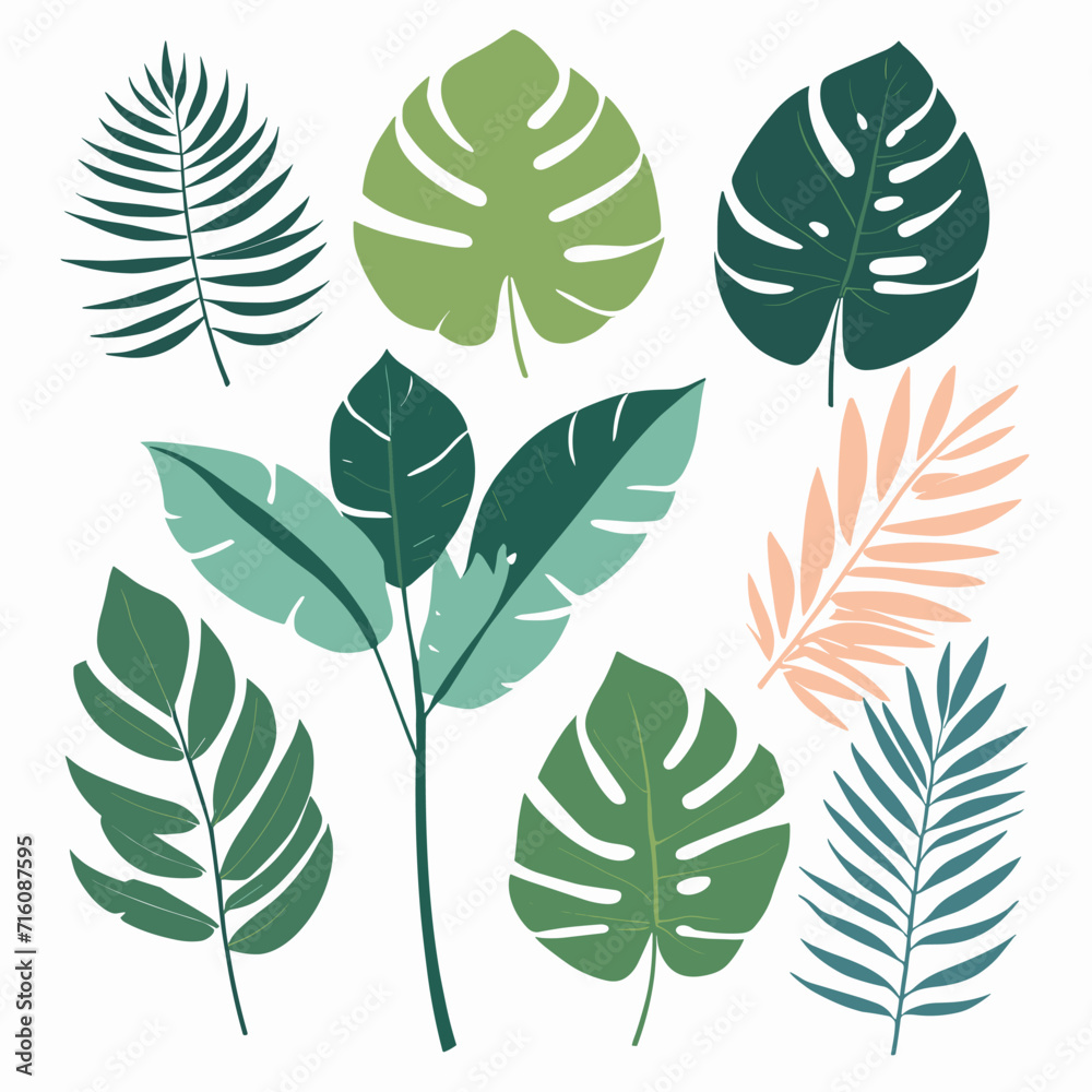 Set of exotic leaves vector silhouette design isolated on white background