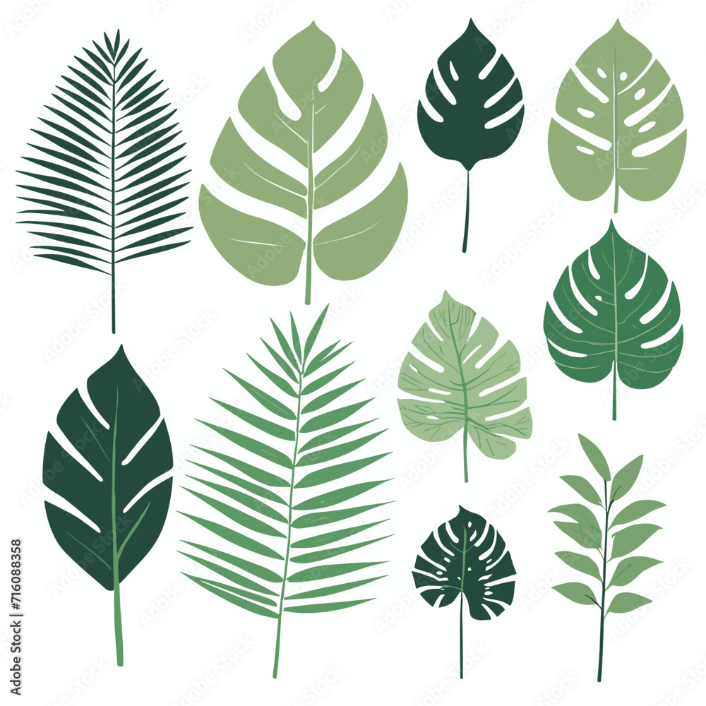 Exotic leaves set tropical leaf collection vector illustration Exotic leaves set tropical leaf collection vector illustration