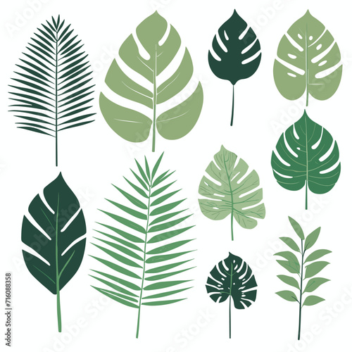 Exotic leaves set tropical leaf collection vector illustration