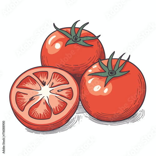 Red tomato vector illustration