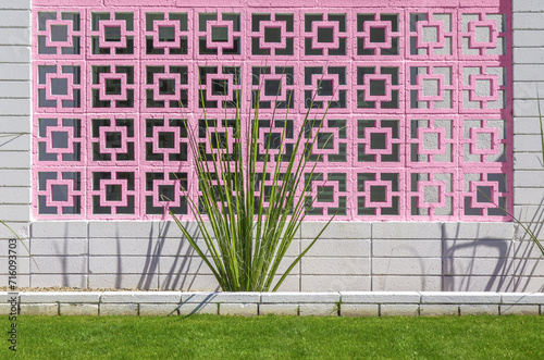 Vintage Breeze Block Wall with Cactus Plant