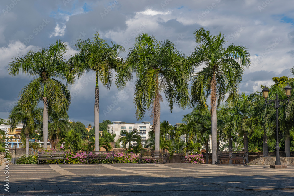 Tall palm trees at main square park in historical city center Zona Colonial of Santo Domingo, Dominican Republic.