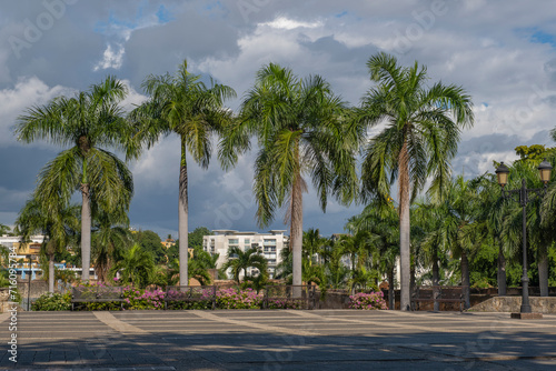 Tall palm trees at main square park in historical city center Zona Colonial of Santo Domingo  Dominican Republic.