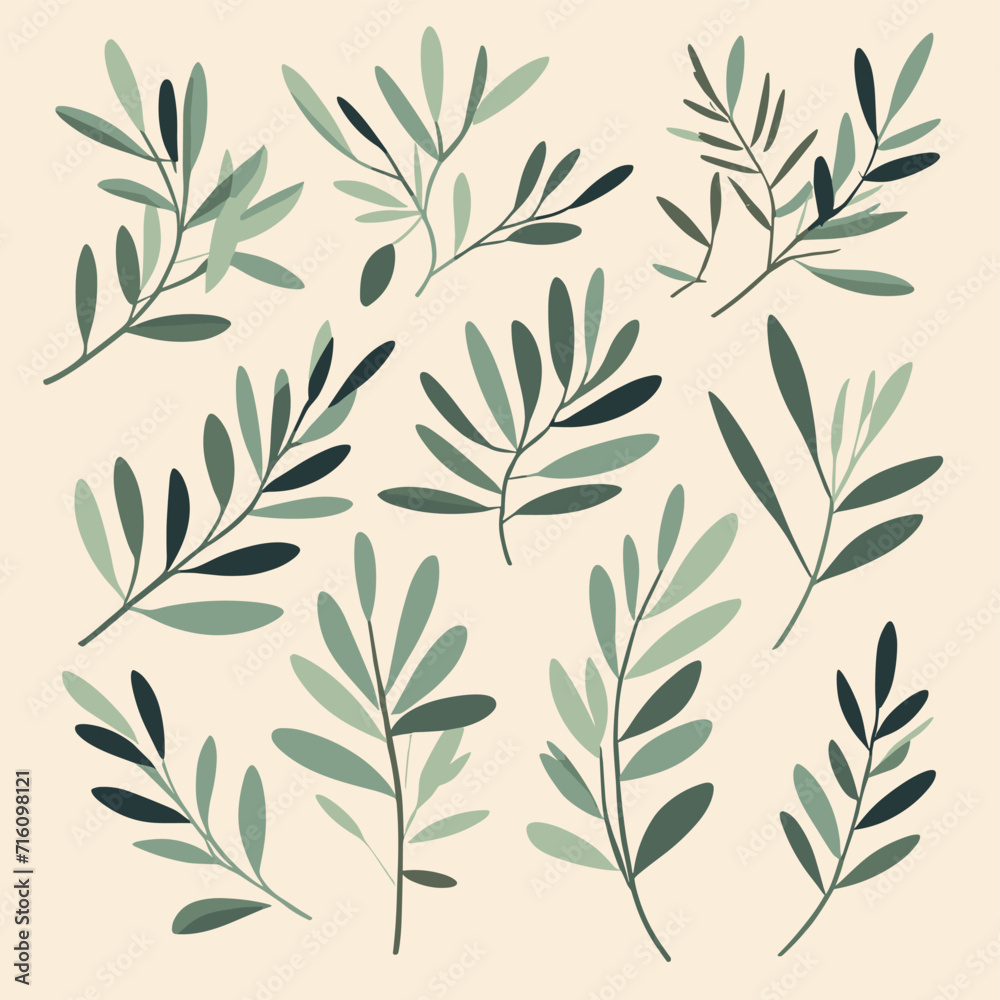 Olive branches illustration leaves set vector collection