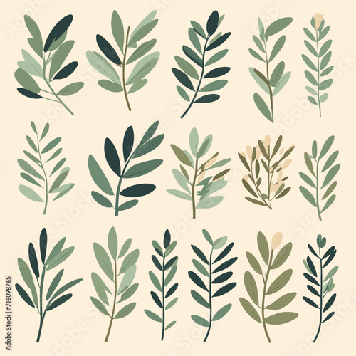 Olive branches illustration leaves set vector collection