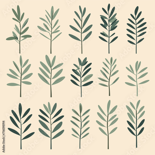 Olive branches illustration leaves set vector collection