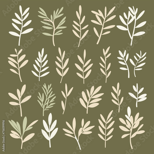Olive branches illustration leaves set vector collection © umut hasanoglu