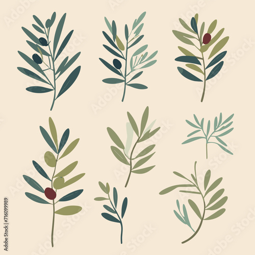 Olive branches illustration leaves set vector collection