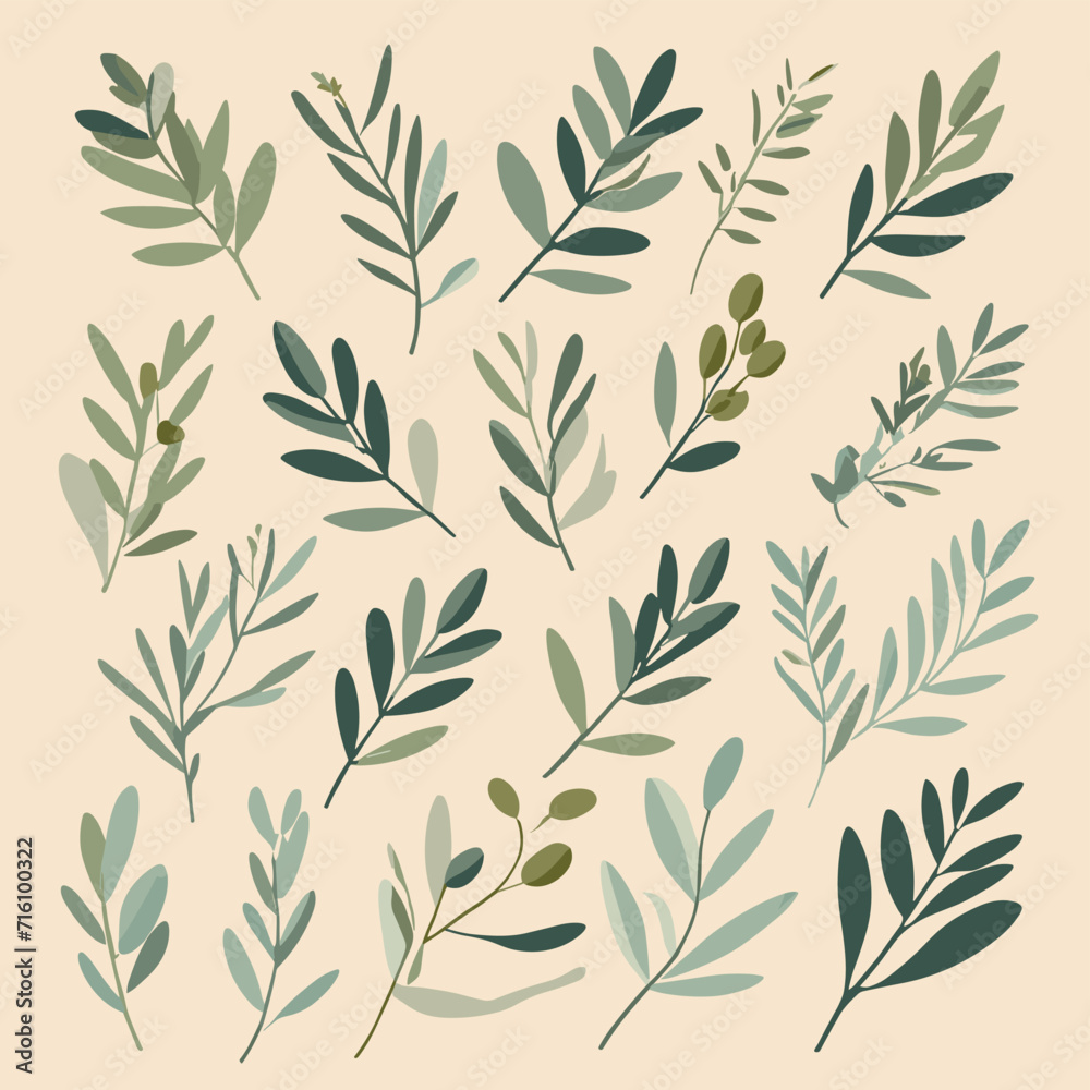 Olive branches illustration leaves set vector collection Olive branches illustration leaves set vector collection
