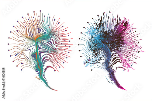 Decorative zen tangle feather boho style colorful for tattoo.