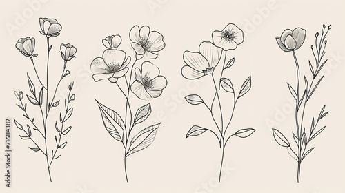 Line art botanical floral element white background