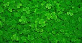 Green shamrock background. Top view with copy space. For design, flyer, postcard. The concept of St. Patrick's Day is associated with either Irish culture or the myths of leprechauns.