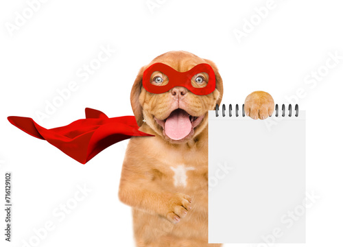 Funny Mastiff puppy wearing superhero costume shows empty list. Isolated on white background