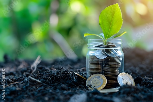 Wallpaper Mural An image depicting a young plant growing from a jar of coins Torontodigital.ca