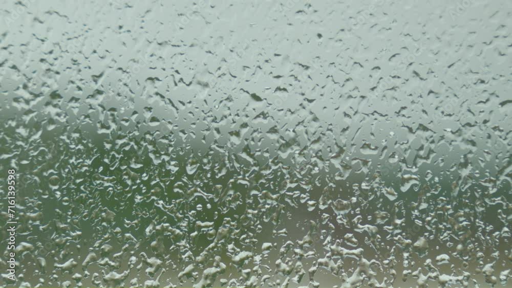 Closeup in glass window water droplet blurry background coniferous in winter Closeup in glass window water droplet blurry background coniferous in winter