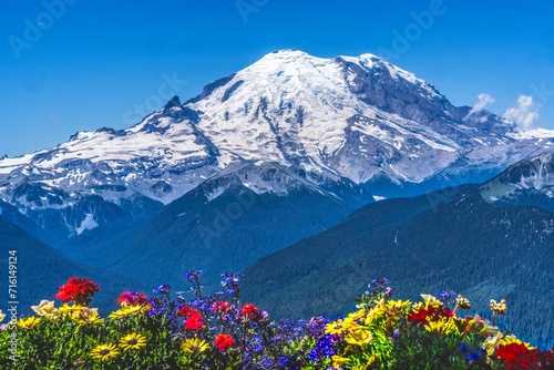 Colorful Flowers Mount Rainier Crystal Mountain Lookout Pierce County Washington photo
