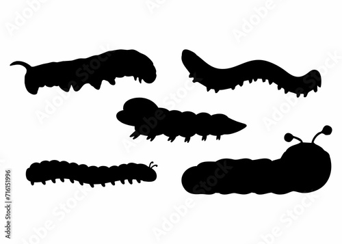 silhouette of a black caterpillar running