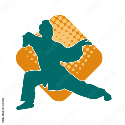 Silhouette of a man in oriental martial art pose. Silhouette of a male in martial art move.
