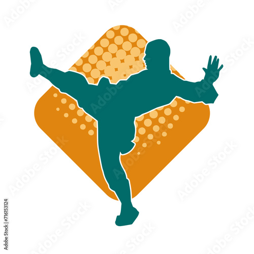 Silhouette of a male model doing martial art kick pose. Silhouette of a martial art kicking pose.
