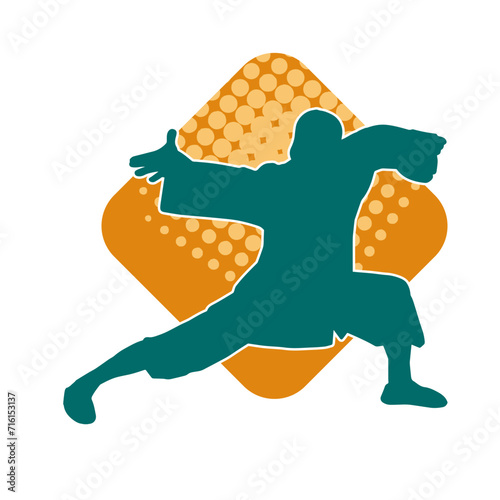 Silhouette of a man in oriental martial art pose. Silhouette of a male in martial art move.