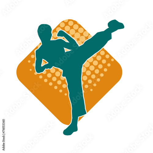 Silhouette of a male model doing martial art kick pose. Silhouette of a martial art kicking pose.
