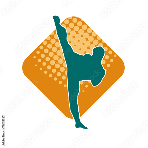 Silhouette of a male model doing martial art kick pose. Silhouette of a martial art kicking pose.