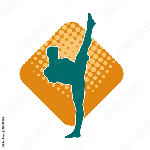 Silhouette of a male model doing martial art kick pose. Silhouette of a martial art kicking pose.