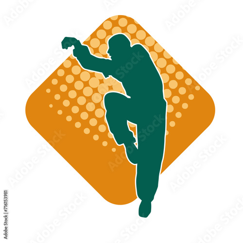 Silhouette of a man in oriental martial art pose. Silhouette of a male in martial art move.