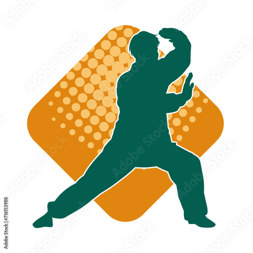 Silhouette of a man in oriental martial art pose. Silhouette of a male in martial art move.