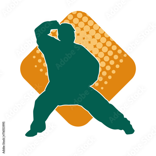 Silhouette of a man in oriental martial art pose. Silhouette of a male in martial art move.