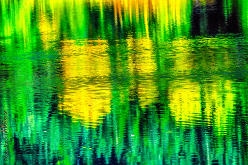 Green Yellow Autumn Reflection Abstract Gold Lake Washington