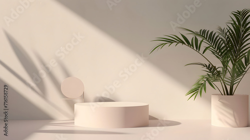 Potted Plant and Two White Vases on Display in a Room. Podium background for product mockup