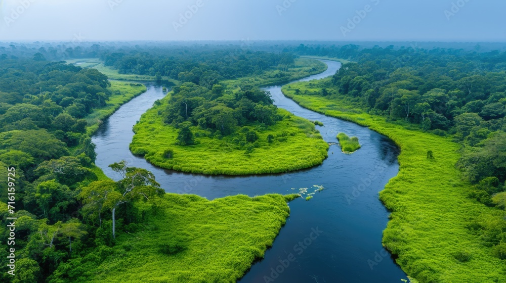 Fototapeta premium aerial view background river lake nature