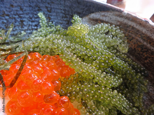 Fresh Okinawan Umibudo Sea Grape green seaweed and red caviar in ceramic bowl as Okinawan cuisine symbol photo