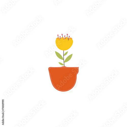 flower set with color vase.decoration