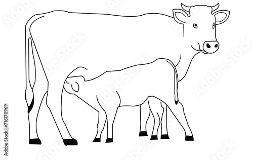 cow isolated on white, black and white gentle surprised look, pink nose, in front of a blue sky. Black silhouette cow isolated on white. Hand drawn vector illustration.