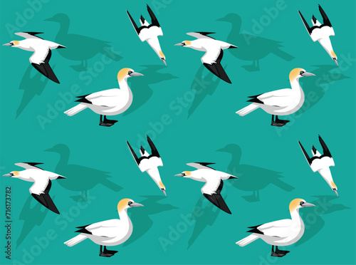 Bird Gannet Cute Seamless Wallpaper Background photo