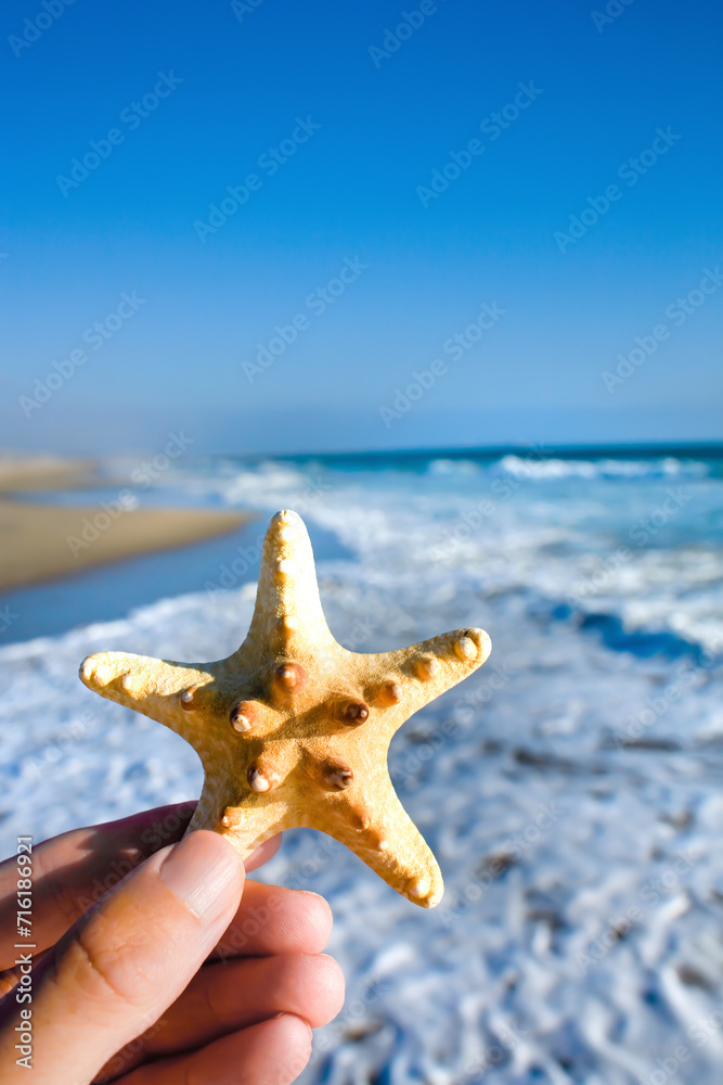 Hand holding starfish with Pacific Ocean Hand holding starfish with Pacific Ocean