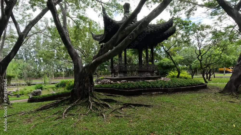 Serene Park Walk Through Ancient Trees Serene Park Walk Through Ancient Trees