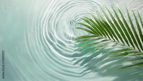 波紋と葉　ボタニカル　植物　水　海　夏　イメージ　フレーム　背景　AI生成画像　イラスト素材 photo