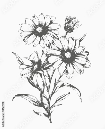 black and white flowers