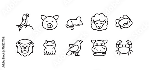 Set of animal icons. Simple outline animal icons pack photo