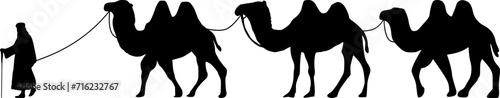 Camel Herder Silhouette illustration. Camel Caravan Silhouette