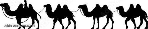 Camel Herder Silhouette illustration. Camel Caravan Silhouette