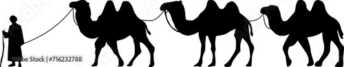 Camel Herder Silhouette illustration. Camel Caravan Silhouette