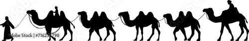 Camel Herder Silhouette illustration. Camel Caravan Silhouette