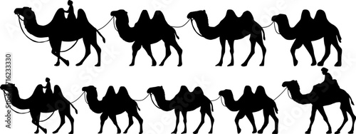 Collection of Camel Herder Silhouette illustration. Camel Caravan Silhouette